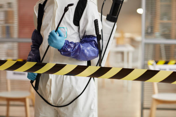 Professional Sewage Cleanup technician working in Goffstown, NH